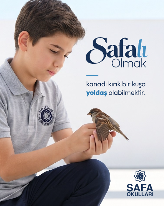 safalı olmak kanadı kuş 